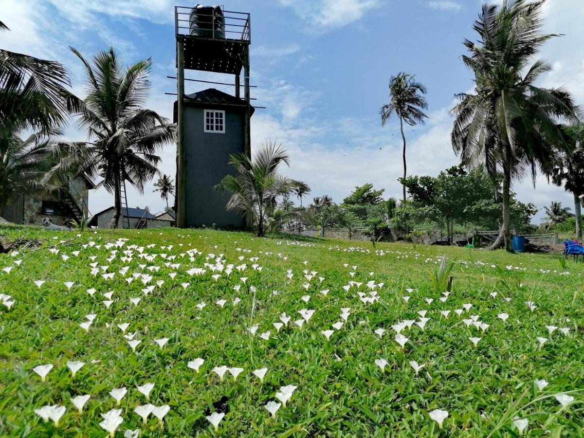 Afro Beach Eco Resort Butre 외부 사진