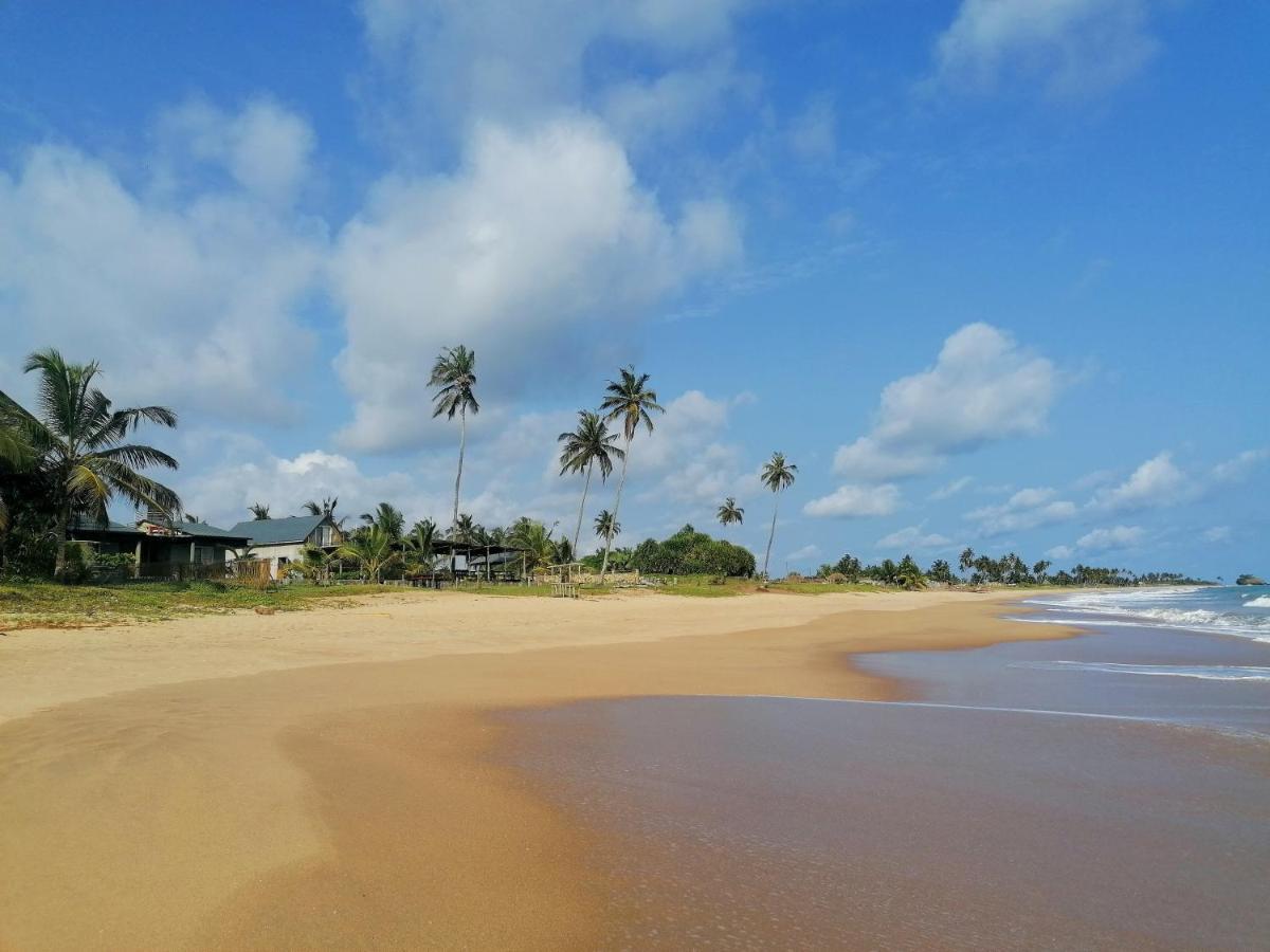 Afro Beach Eco Resort Butre 외부 사진