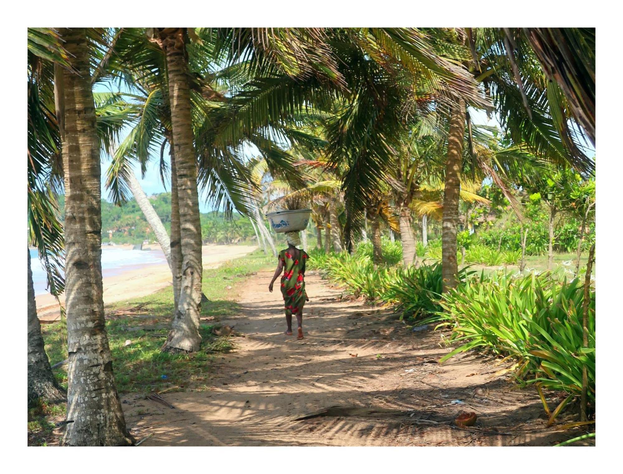 Afro Beach Eco Resort Butre 외부 사진
