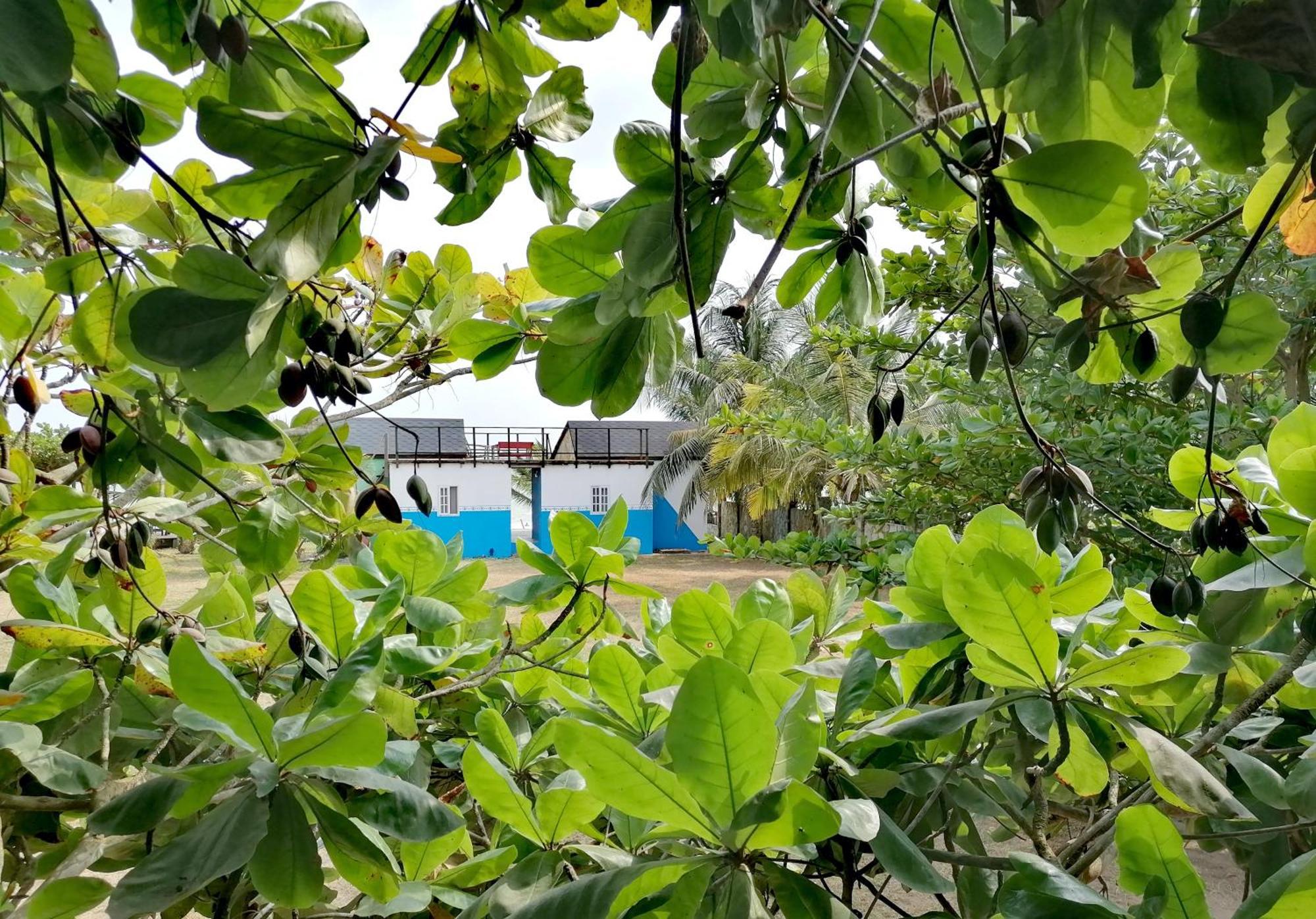 Afro Beach Eco Resort Butre 객실 사진