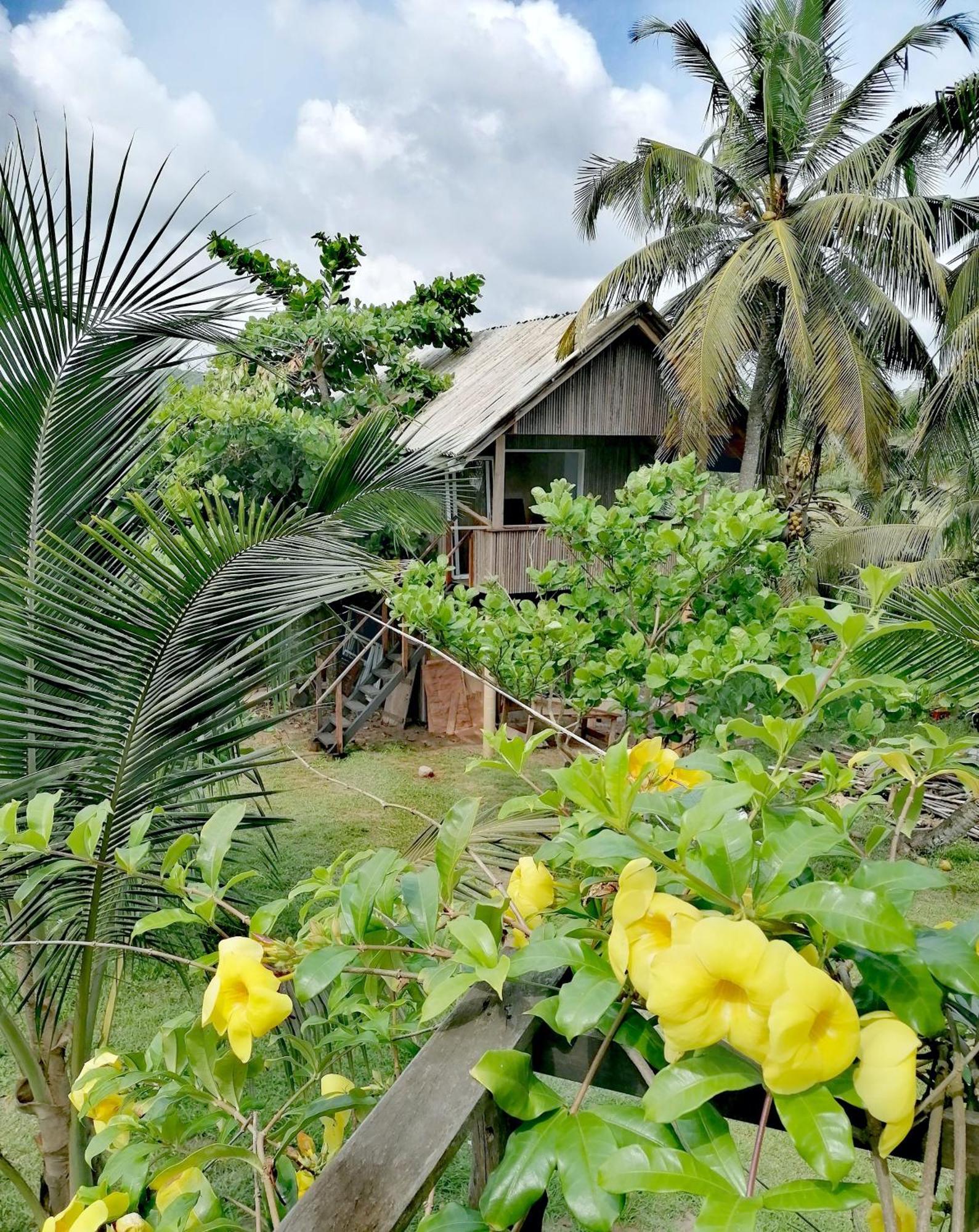 Afro Beach Eco Resort Butre 객실 사진