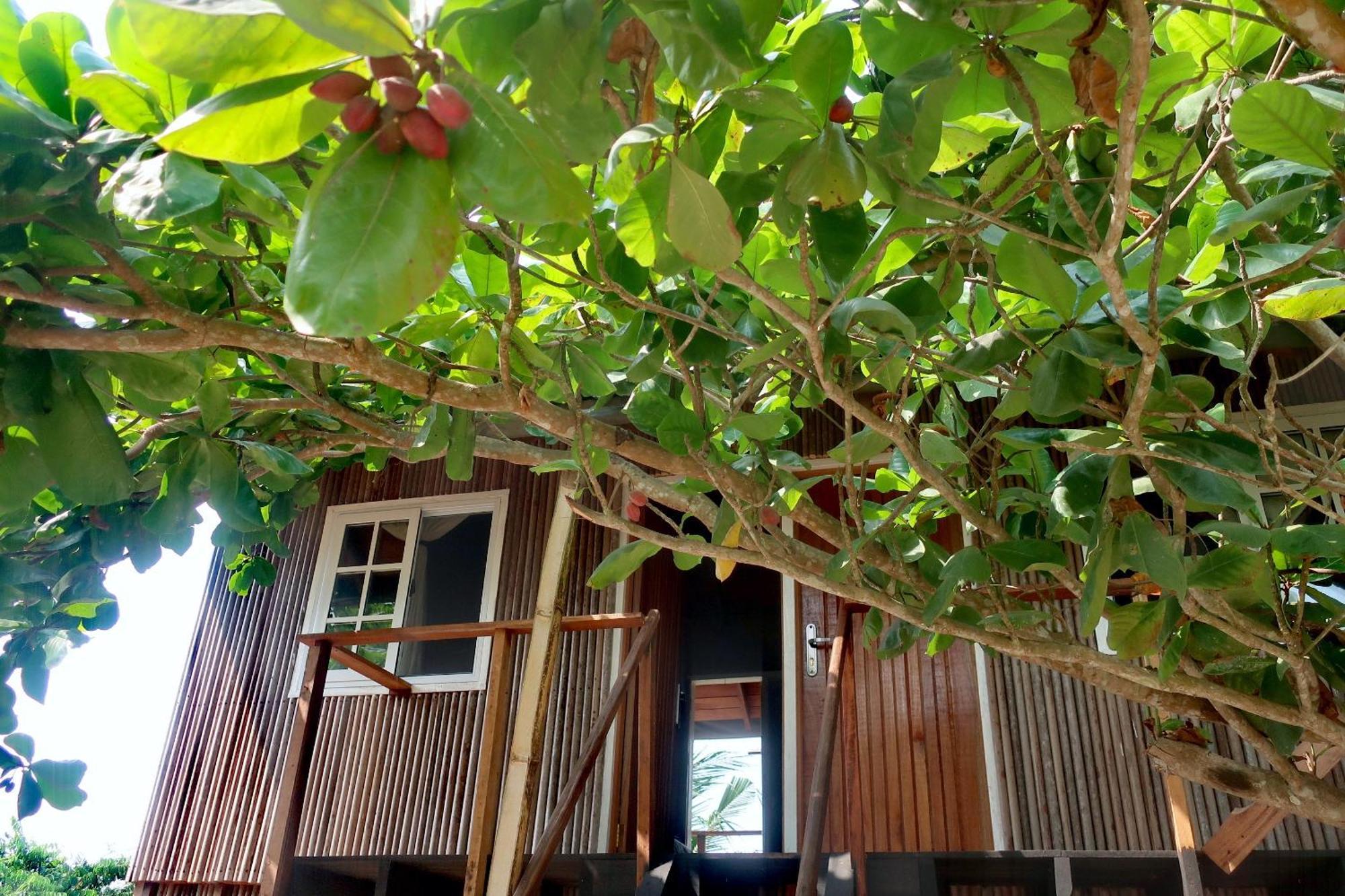 Afro Beach Eco Resort Butre 객실 사진